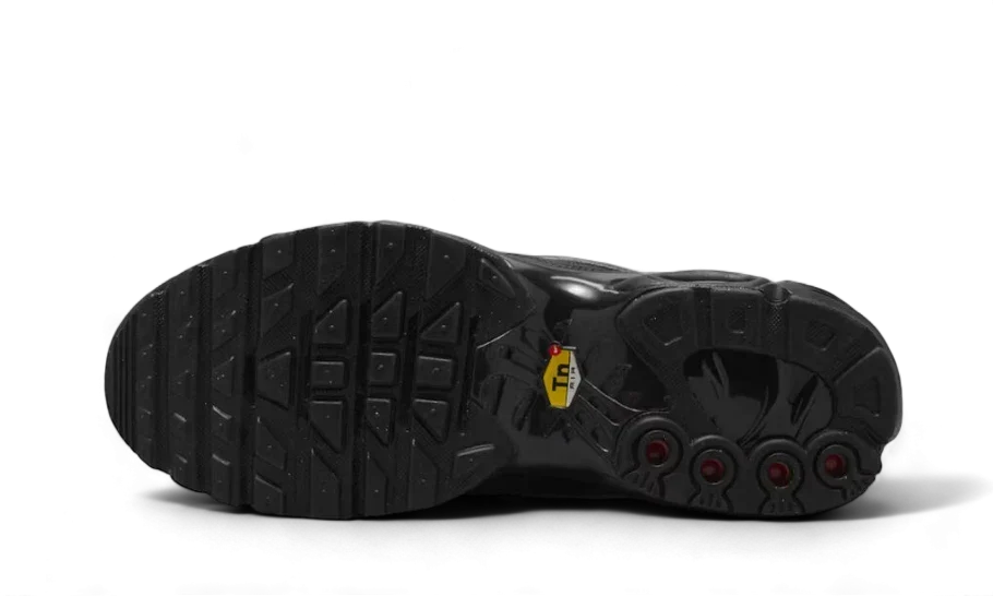 Nike Air Max Plus Tiempo Black White