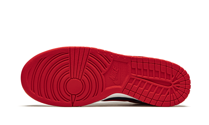 Dunk Low Retro Samba 2020