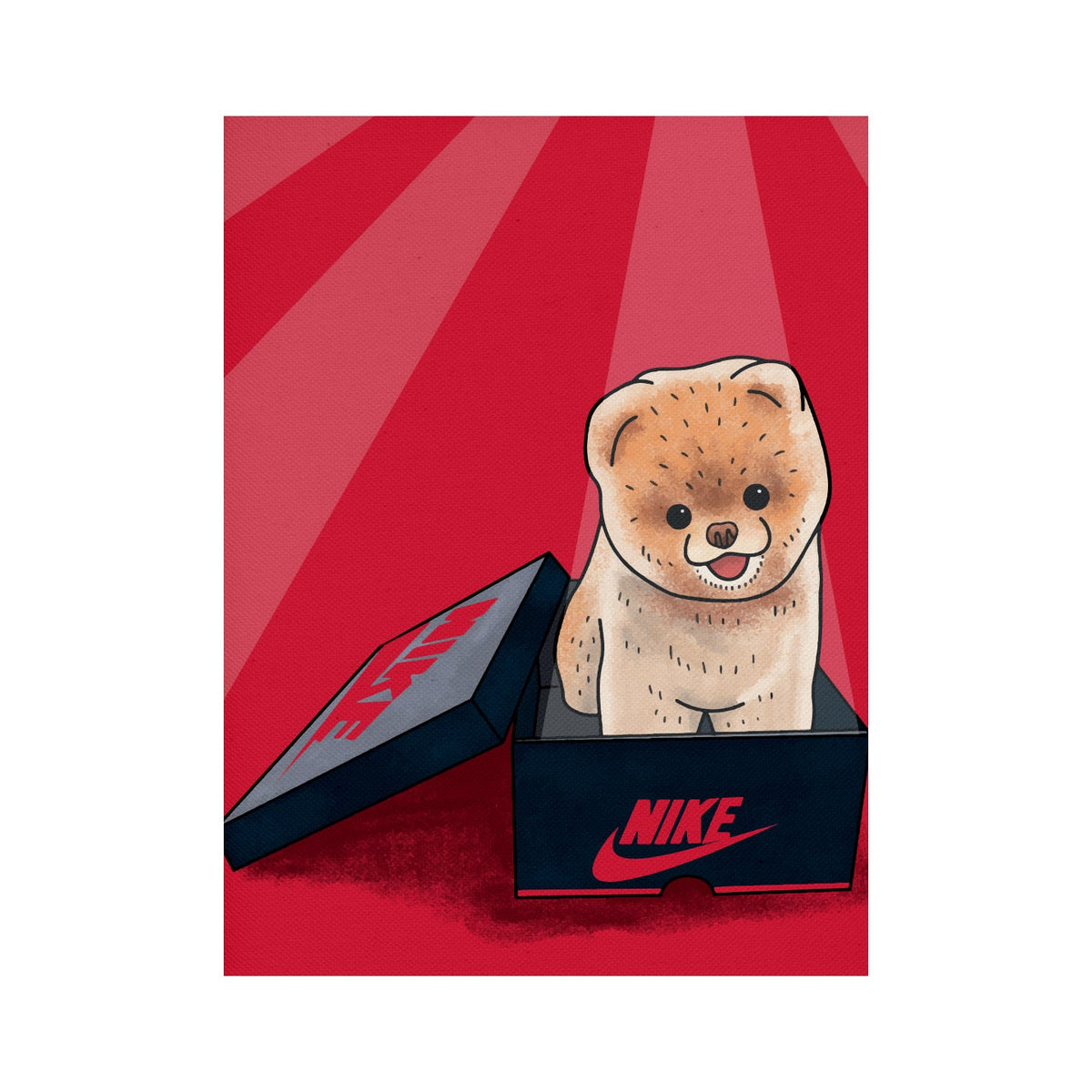 Bild Puppy in Nike`s Box