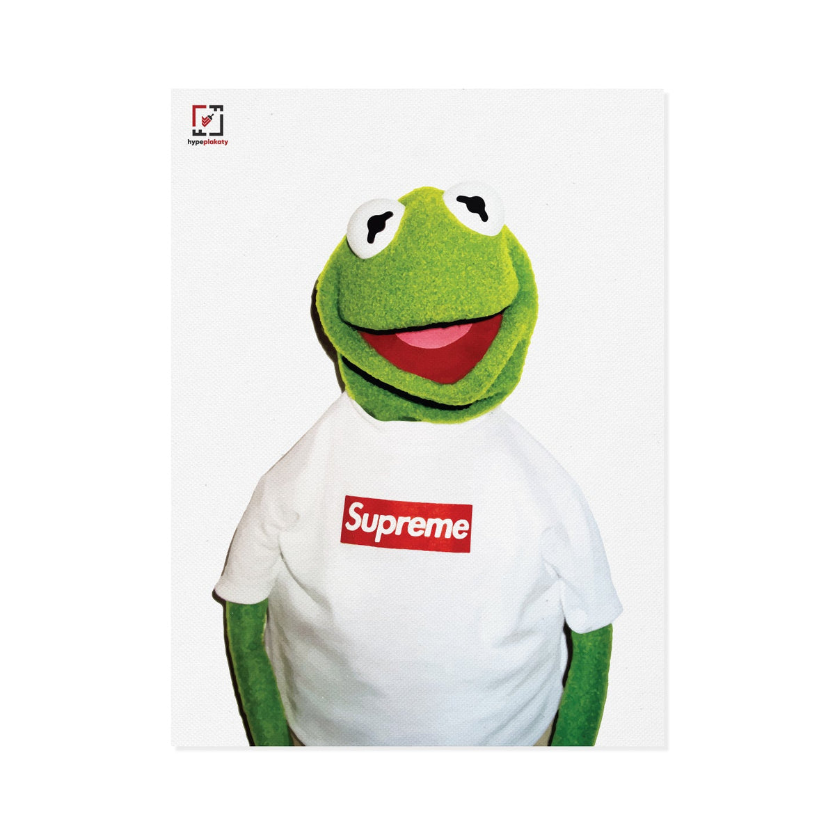 Obraz na płótnie Kermit x Supreme