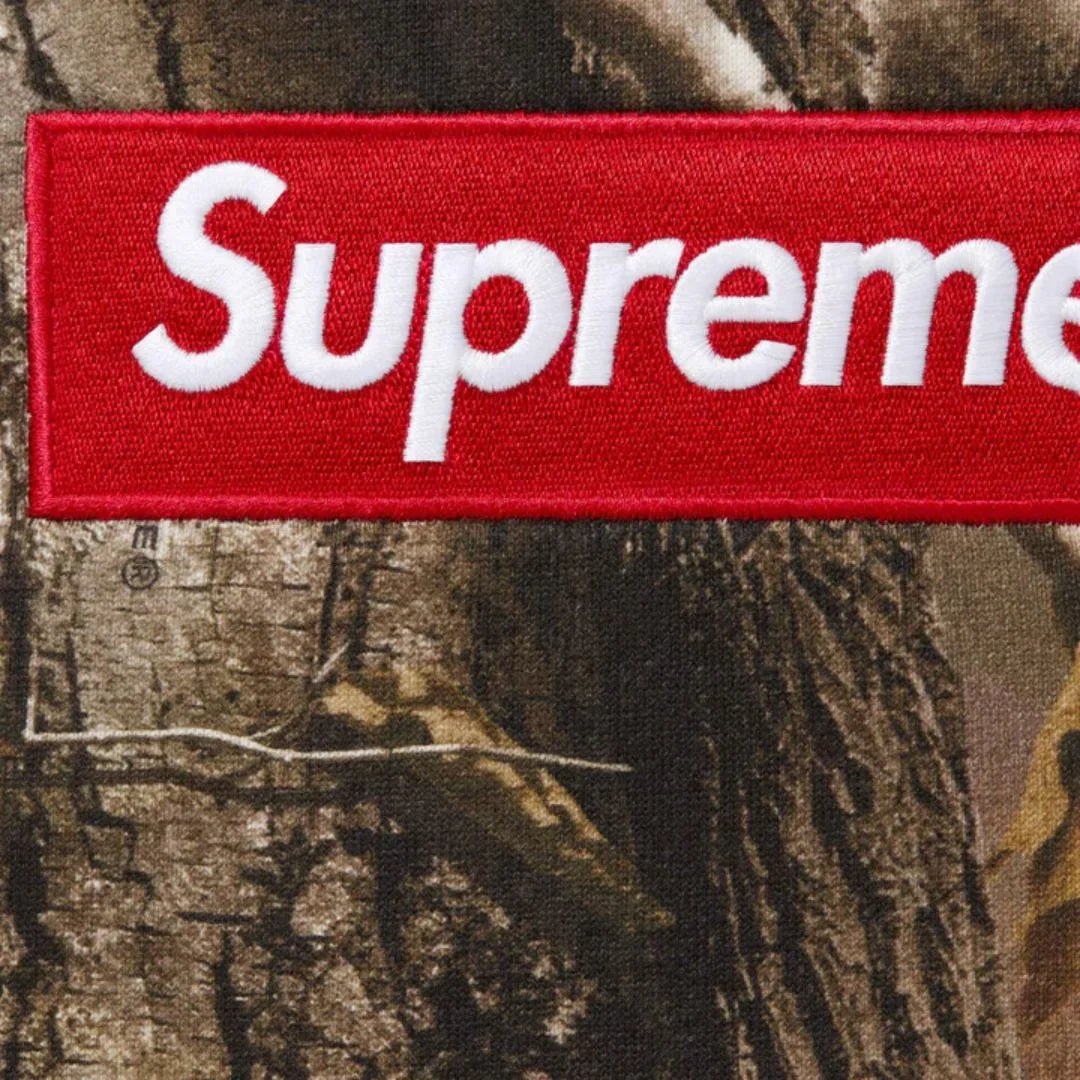 Supreme Box Logo Hooded Sweatshirt Realtree AP Camo (FW25)
