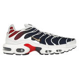 Nike Air Max Plus PSG