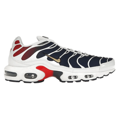 Nike Air Max Plus PSG