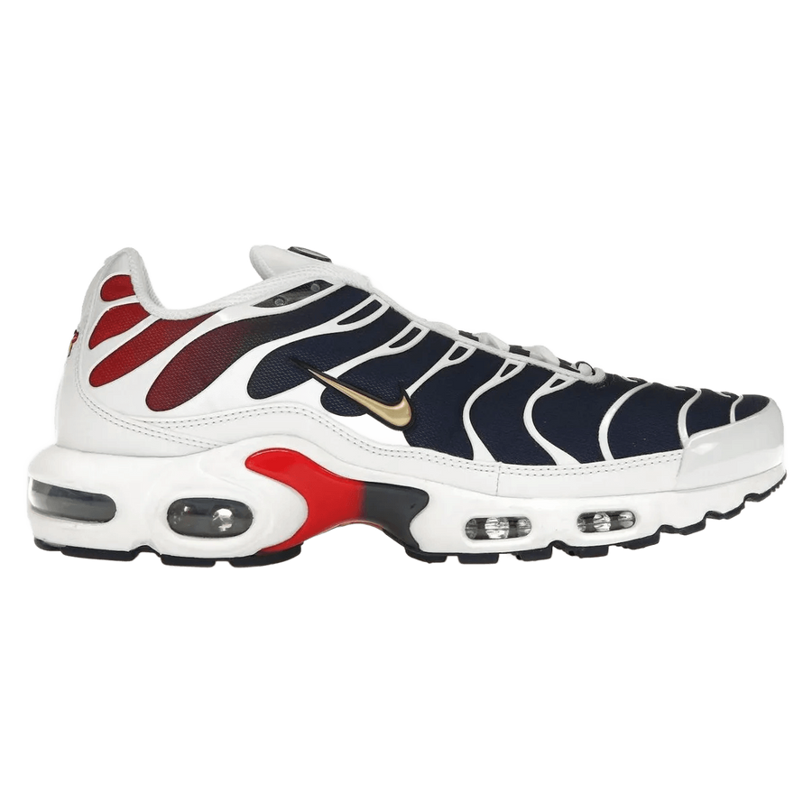 Nike Air Max Plus PSG