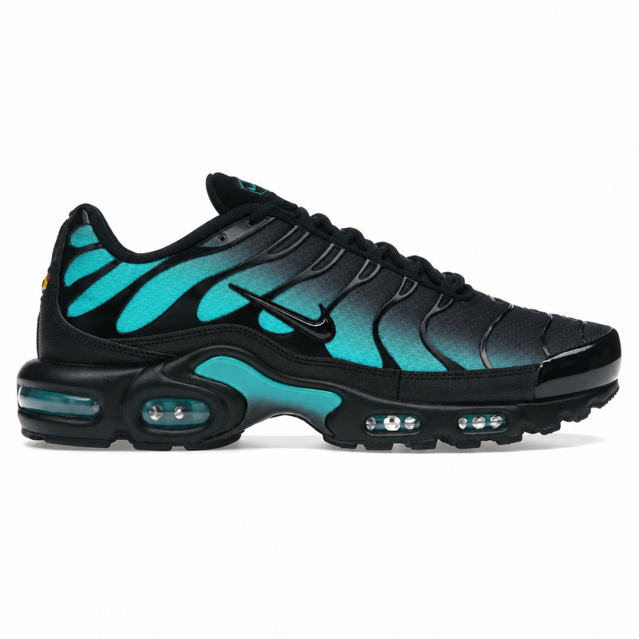 Nike Air Max Plus Black Dusty Cactus