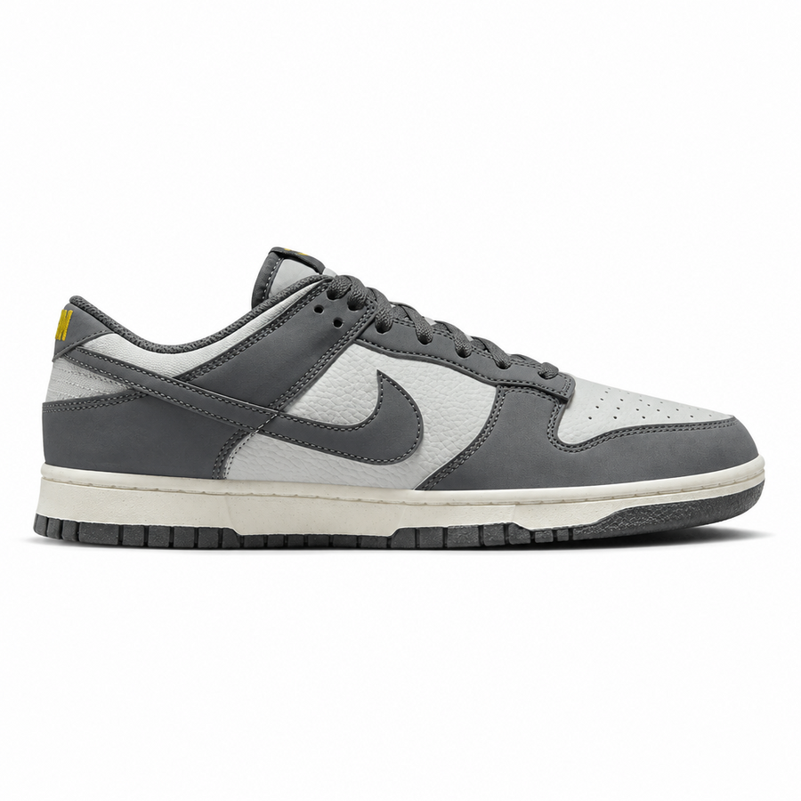 Nike Dunk Low Next Nature Iron Grey Lightning