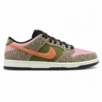 Nike SB Dunk Low Arts-Rec