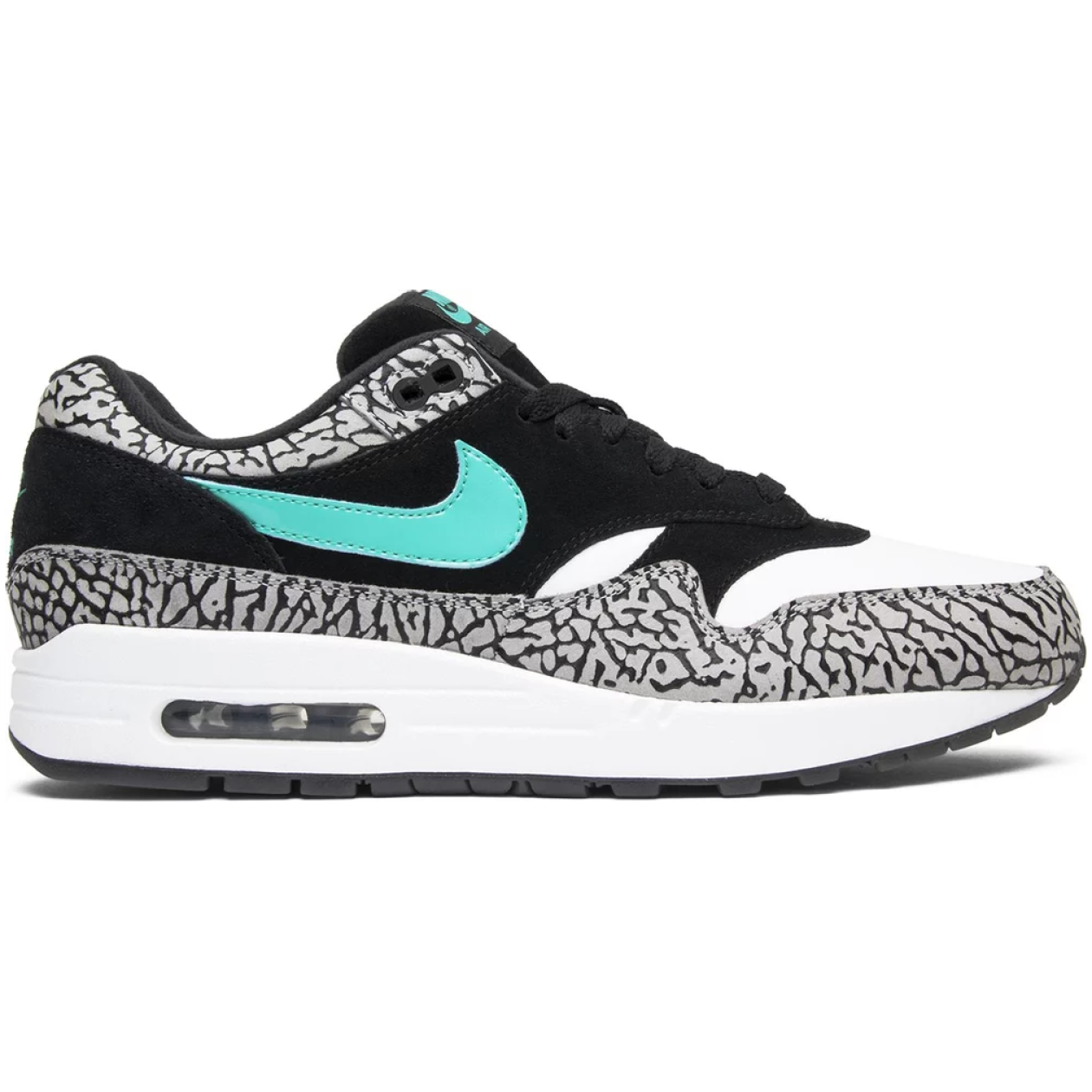 Air Jordan 3 Retro & Nike Air Max 1 Atmos Pack