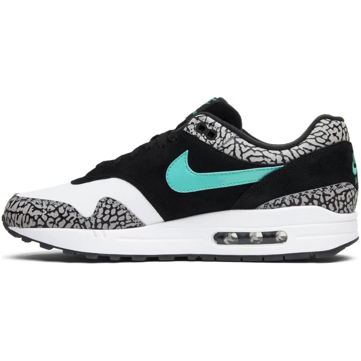 Air Jordan 3 Retro & Nike Air Max 1 Atmos Pack